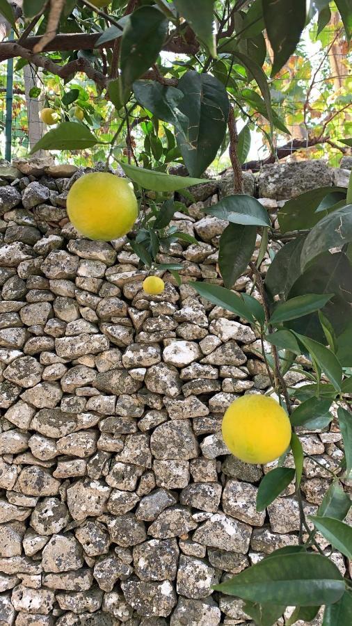 Dimora Le Zagare Apartment Ostuni Bagian luar foto