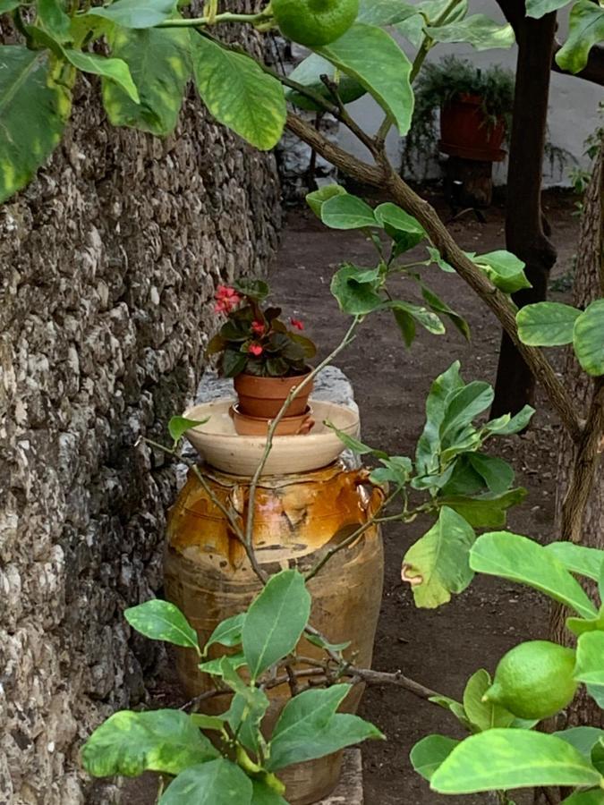 Dimora Le Zagare Apartment Ostuni Bagian luar foto