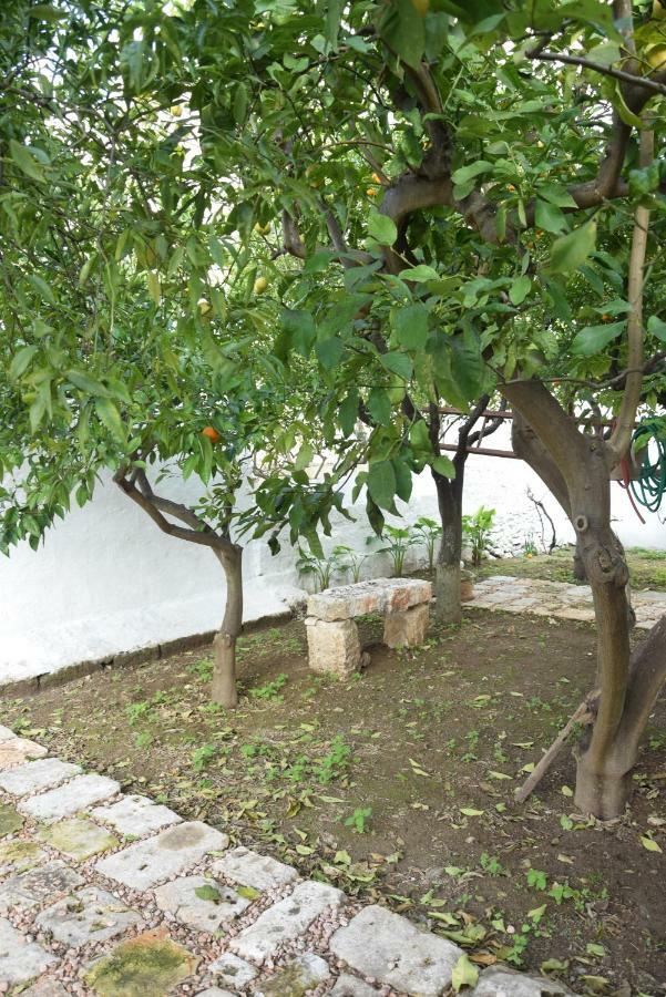 Dimora Le Zagare Apartment Ostuni Bagian luar foto