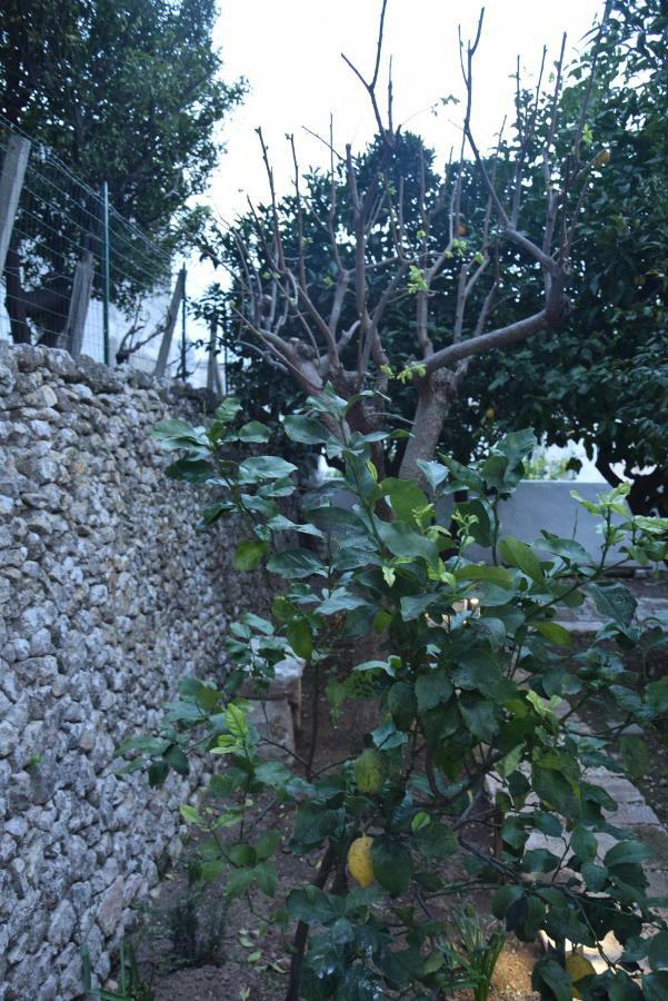 Dimora Le Zagare Apartment Ostuni Bagian luar foto