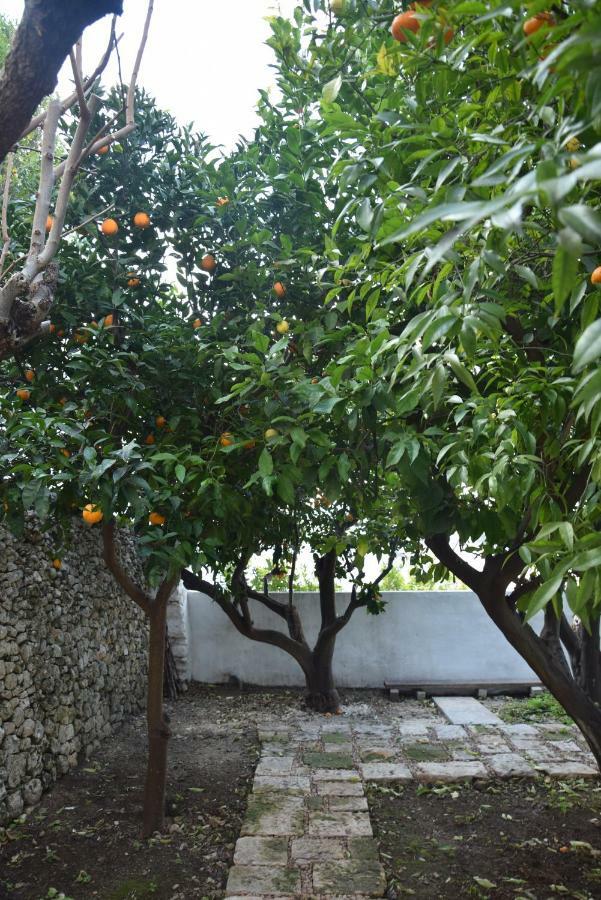 Dimora Le Zagare Apartment Ostuni Bagian luar foto
