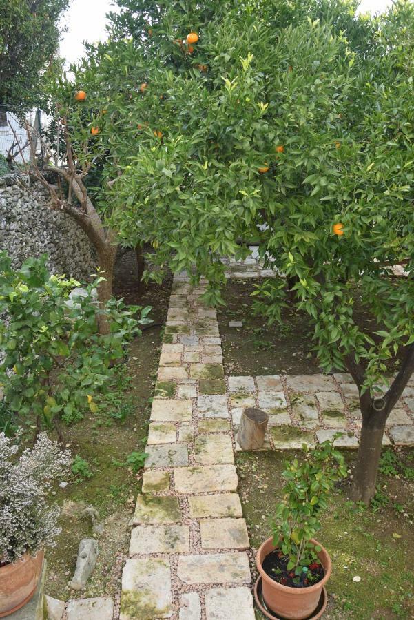 Dimora Le Zagare Apartment Ostuni Bagian luar foto