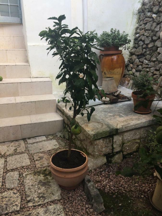Dimora Le Zagare Apartment Ostuni Bagian luar foto